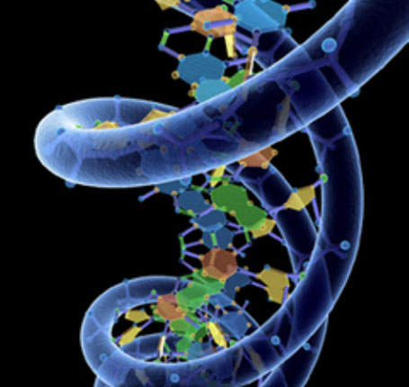 молекула ДНК