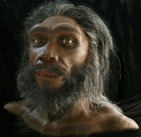 Homo sapiens